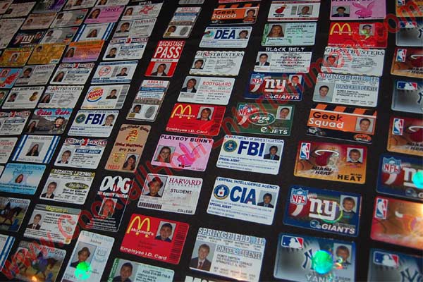 Sample ID Cards for Bar Mitzvah Entertainment 1